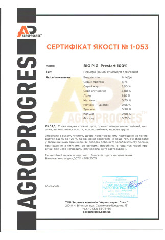 1_053_Біг піг_Престарт