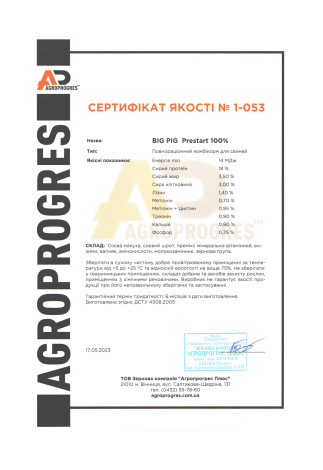 1_053_Біг піг_Престарт