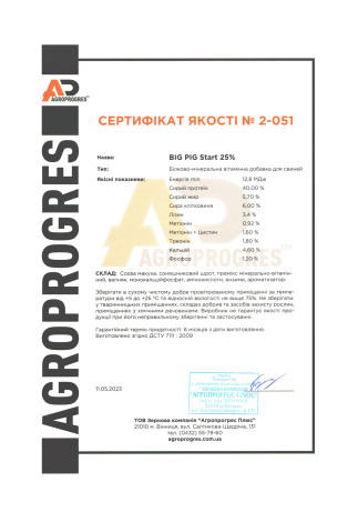 2_051_Біг піг_Старт_БМВД